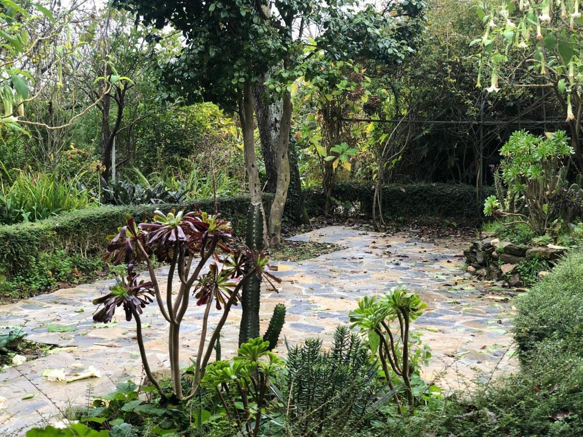 Casa Do Bosque * Cabanas
