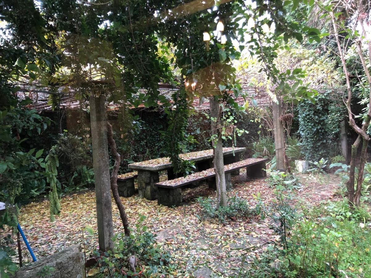 Holiday home Casa Do Bosque *