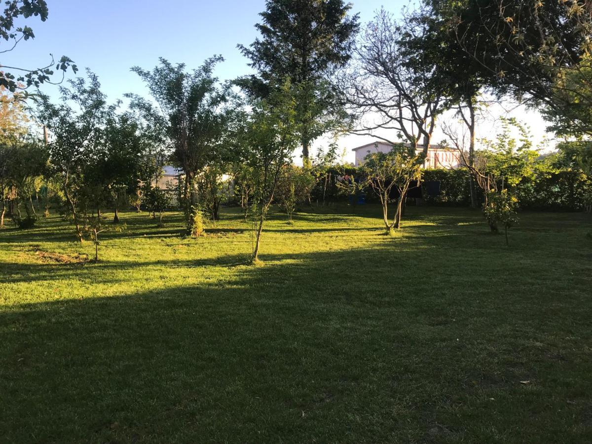Holiday home Casa Do Bosque *